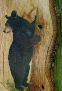 Bear Standing on Live Edge Wood Frame (Sold)