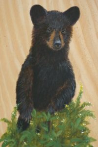 Bear Cub Standing on Live Edge Wood Frame (Sold)