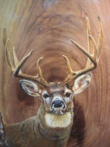 Buck on Live Edge Walnut Frame (Sold)