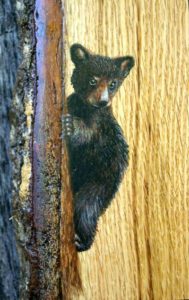 Bear Cub on Live Edge Oak Wood Frame (Sold)