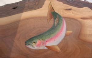 Rainbow Trout on Live Edge Walnut Frame (Sold)