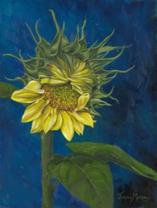 Moonlit Sunflower-12 X 16 Oil (Original & Prints available, Contact artist)