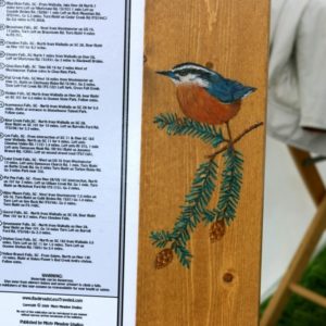 Nuthatch on Hemlock Branch-on pine frame