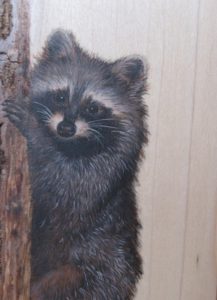 Raccoon-on Live Edge Poplar Wood Frame (Sold)