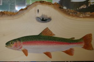 Rainbow Trout-detail on Poplar Live Edge Frame