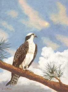 Osprey at Moonrise 12 X 16 Oil